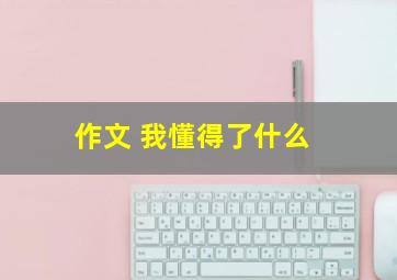 作文 我懂得了什么